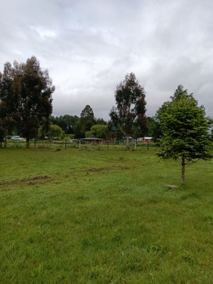 Venta-de-Parcela-en-Mariquina-CUYAN